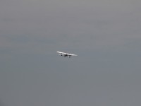IMG_9004