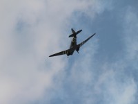IMG_9501